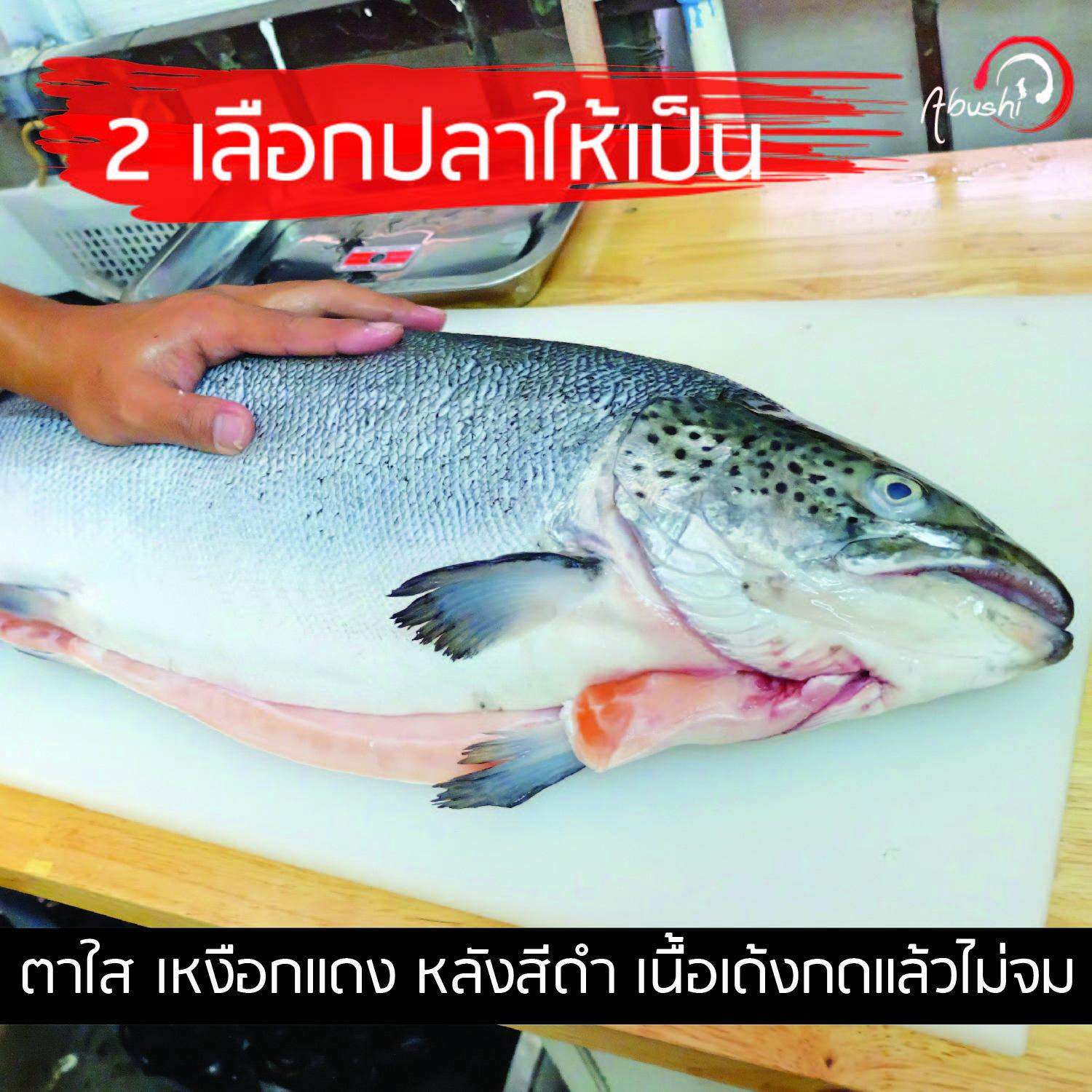 fresh salmon abushi แซลมอนสด