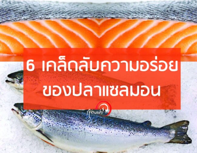 fresh salmon abushi 7 แซลมอนสด fresh salmon abushi แซลมอนสด