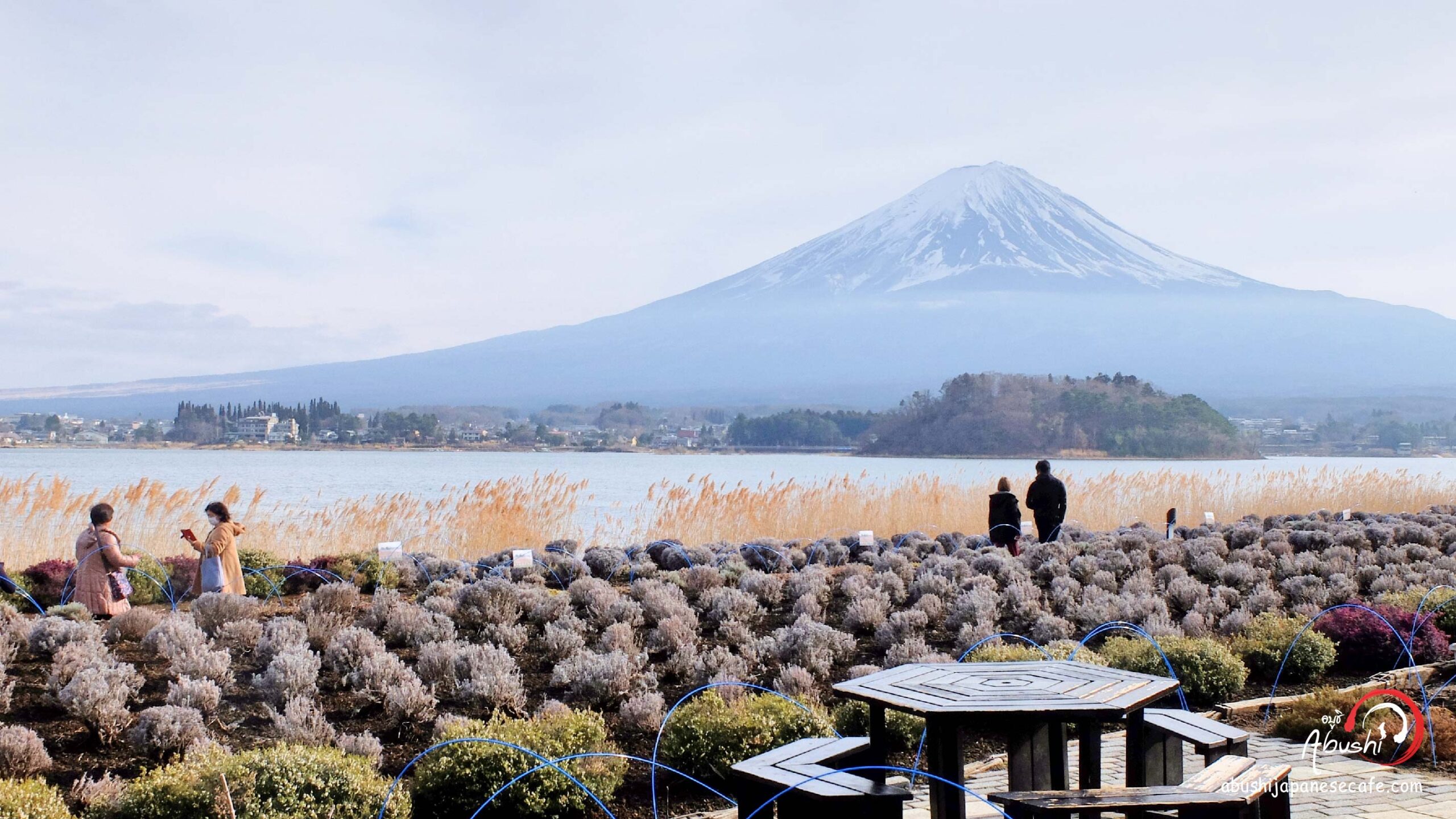 tokyo halal trip March2018 Abusi พากินพาเที่ยวแบบฮาลาลที่ญี่ปุ่น fuji Kawaguchiko-05 tokyo halal trip March2018 Abusi พากินพาเที่ยวแบบฮาลาลที่ญี่ปุ่น fuji Kawaguchiko