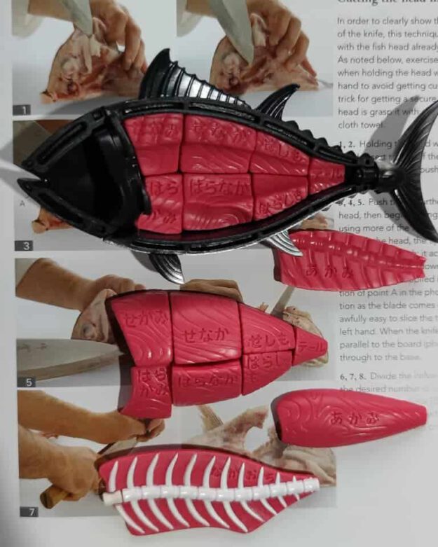 ทูน่าส่วนต่าง ๆ แบ่งเป็นหลายส่วน Akami อากามิ ชูโทโร่ โอโทโร่