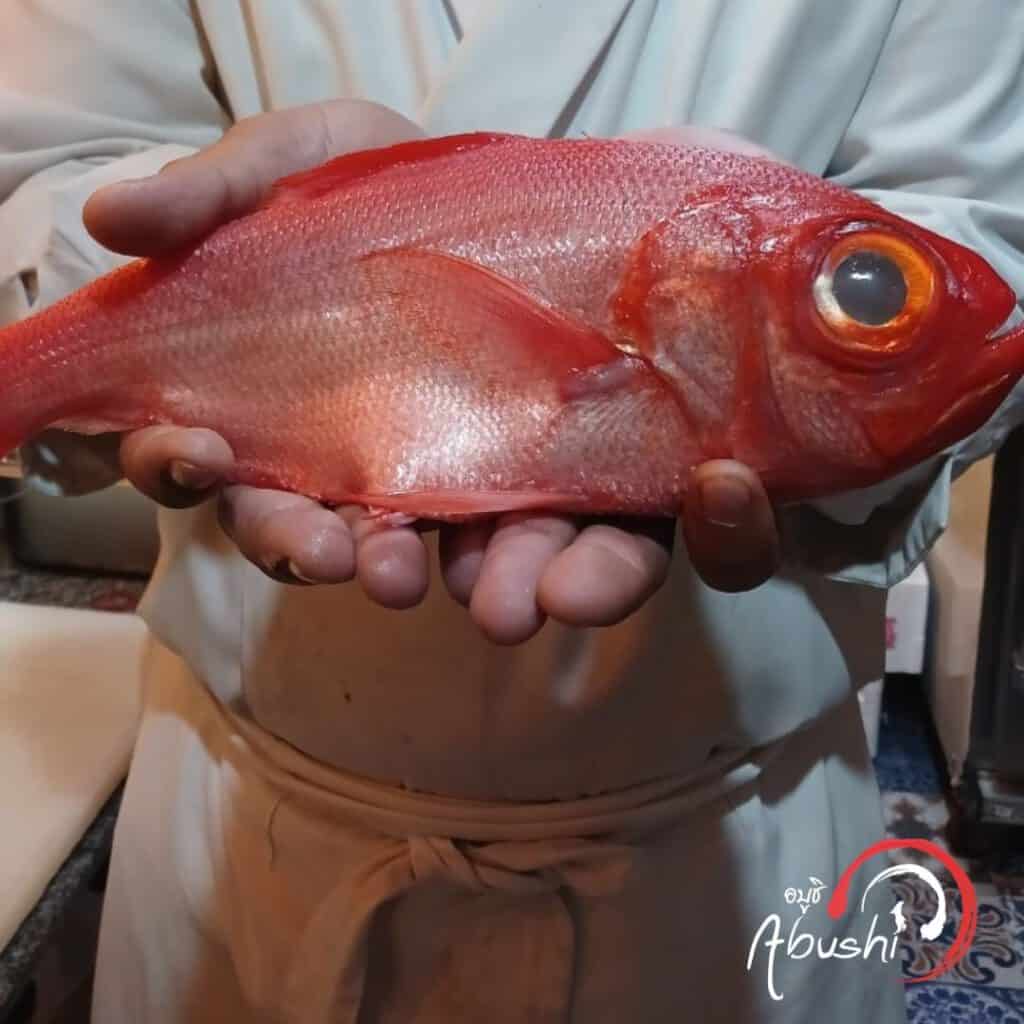 Kinmedai คินเมะได (ปลากะพงแดงตาโต) ใหม่สด ส่งตรงจากญี่ปุ่น
