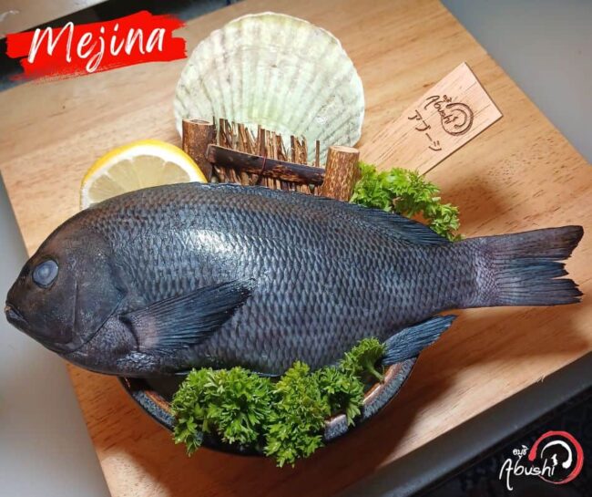 Mejina メジナ เมจินะ เป็นปลาแนวโขดหินและดงสาหร่าย