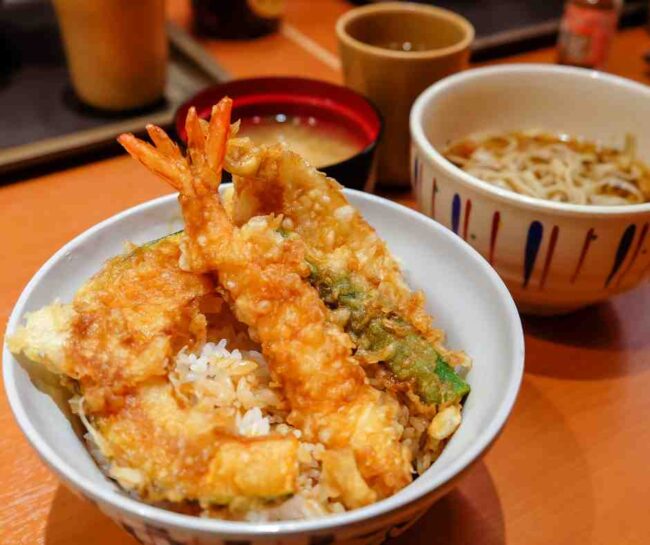 เทนดง (Tendon) (2)