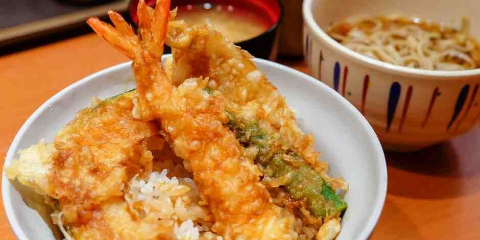 เทนดง (Tendon) (2)