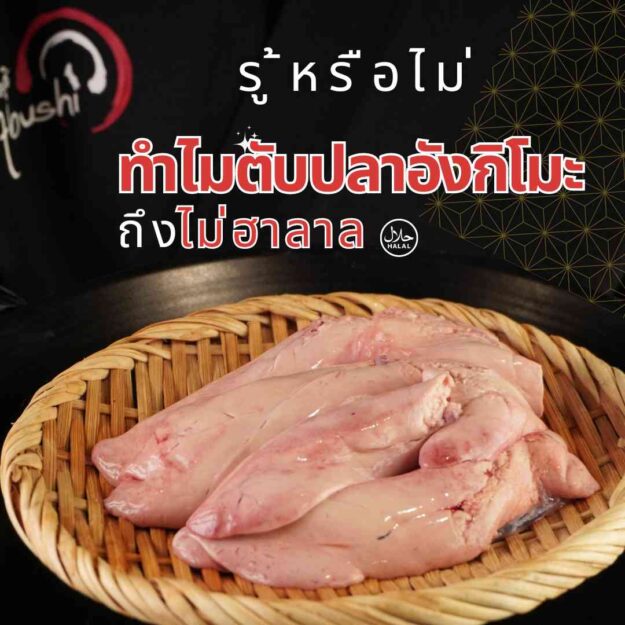 0205 รู้หรือไม่ทำไมตับปลาอังกิโมะถึงไม่ฮาลาล รู้หรือไม่ทำไมตับปลาอังกิโมะถึงไม่ฮาลาล